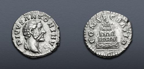 Lot 557 image