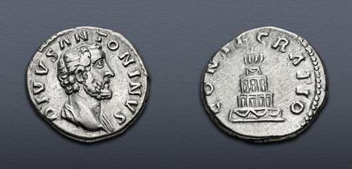 Lot 558 image
