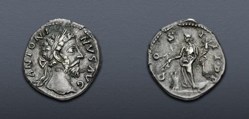 Lot 583 image