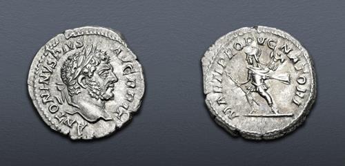 Lot 597 image