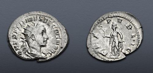 Lot 643 image