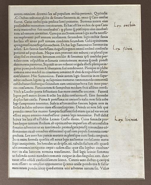 Lot 995 image