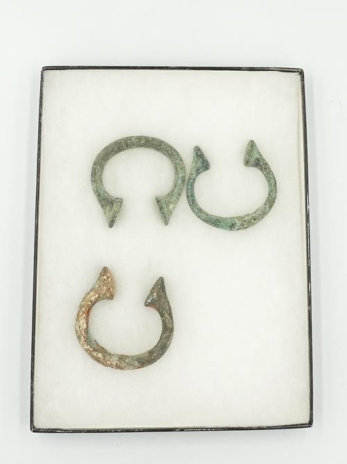 Lot 1008 image