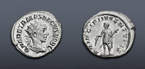 Lot 664 image