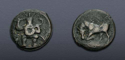 Lot 7 image