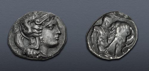 Lot 12 image