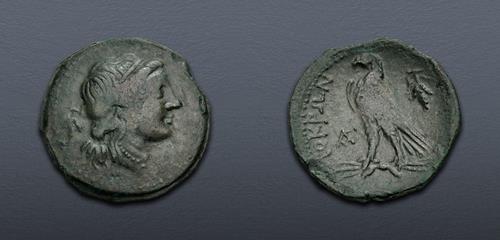 Lot 19 image