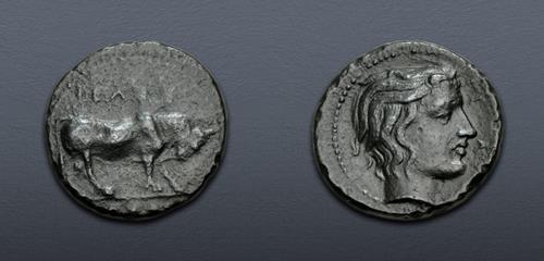 Lot 23 image