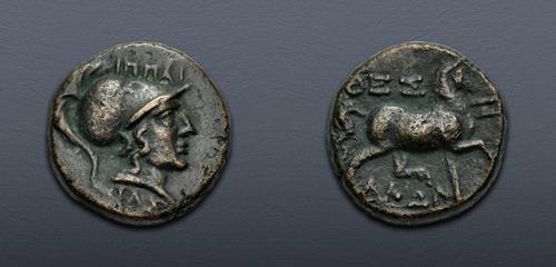 Lot 101 image