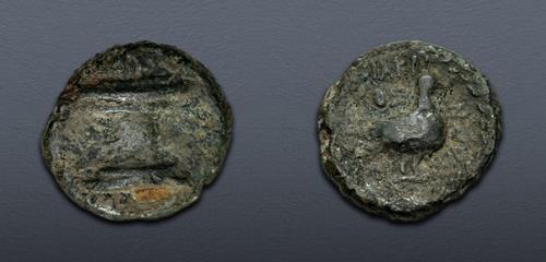 Lot 111 image
