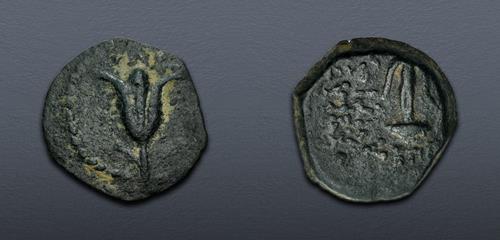 Lot 293 image