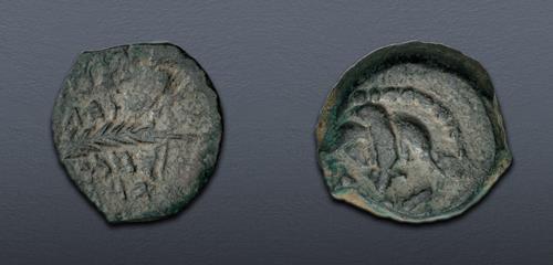 Lot 294 image