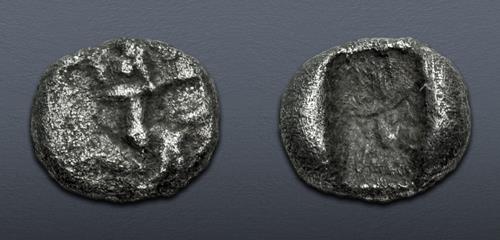 Lot 305 image