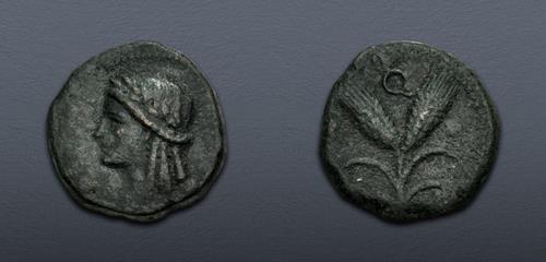 Lot 343 image