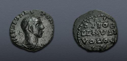 Lot 355 image