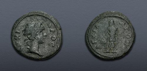 Lot 364 image