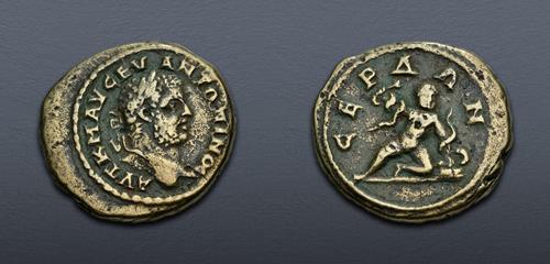 Lot 395 image