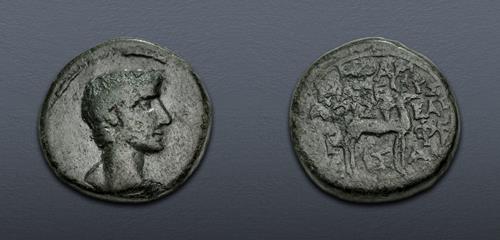 Lot 443 image