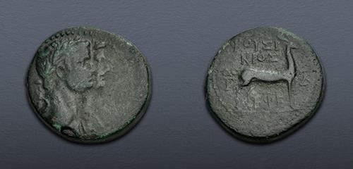 Lot 445 image