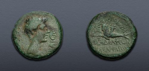 Lot 484 image