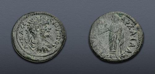 Lot 491 image