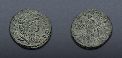 Lot 495 image
