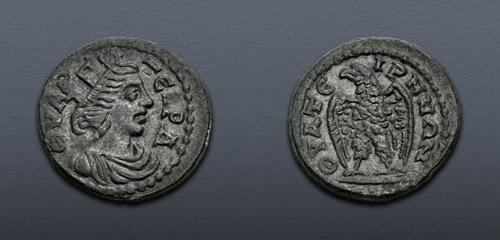 Lot 503 image