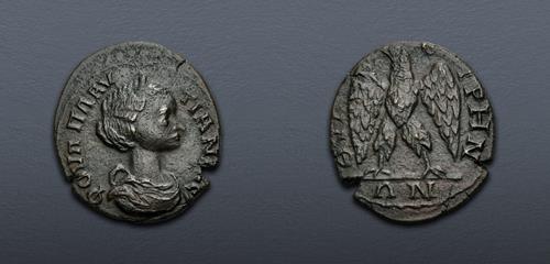 Lot 504 image