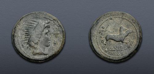 Lot 507 image