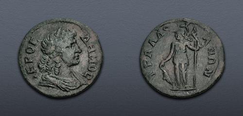 Lot 509 image