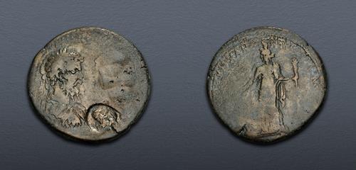 Lot 514 image