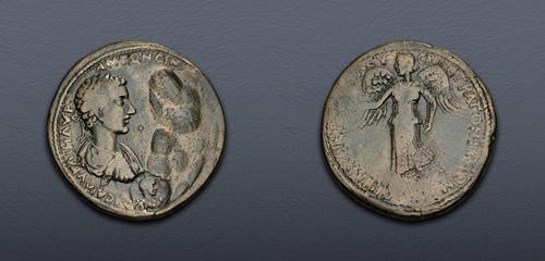 Lot 517 image