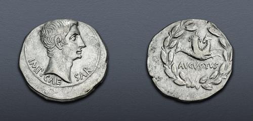 Lot 555 image