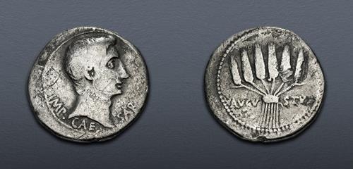 Lot 557 image