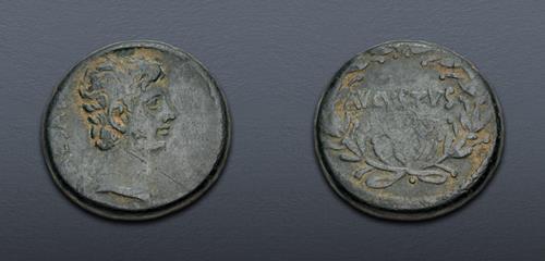 Lot 558 image