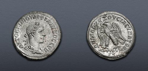Lot 562 image