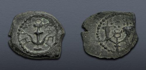 Lot 564 image