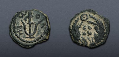 Lot 565 image