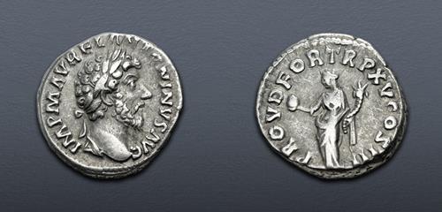 Lot 675 image
