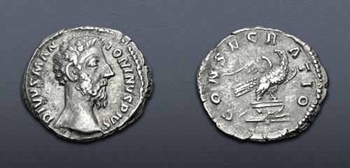 Lot 681 image