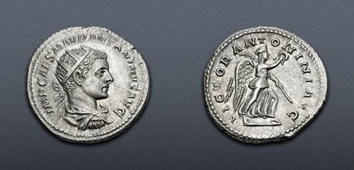 Lot 702 image