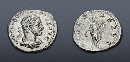 Lot 704 image