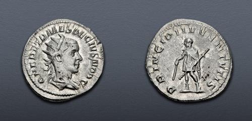 Lot 719 image