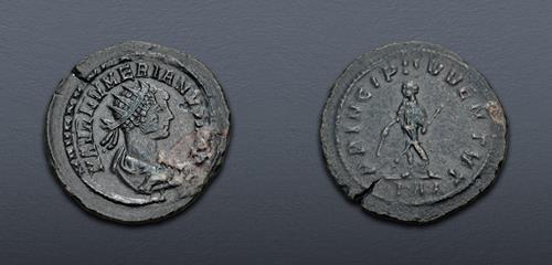 Lot 736 image