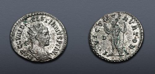 Lot 737 image