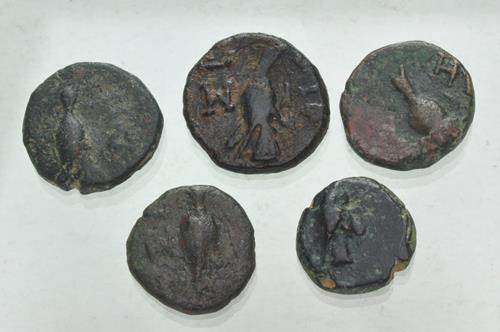 Lot 1059 image