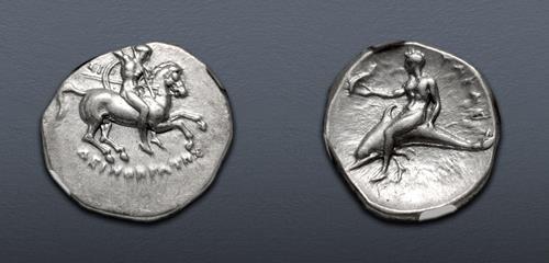 Lot 11 image