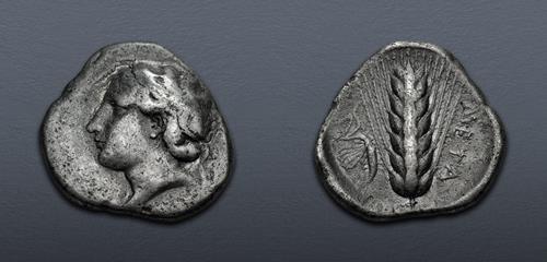 Lot 15 image