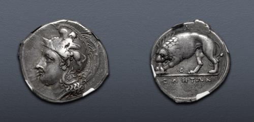 Lot 19 image