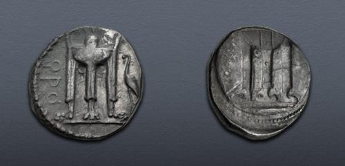 Lot 20 image